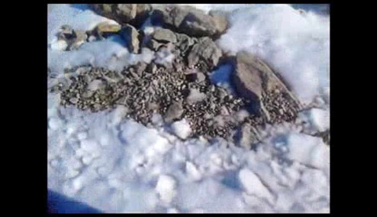 Gerçek  karda yürüyüş ayak sesleri