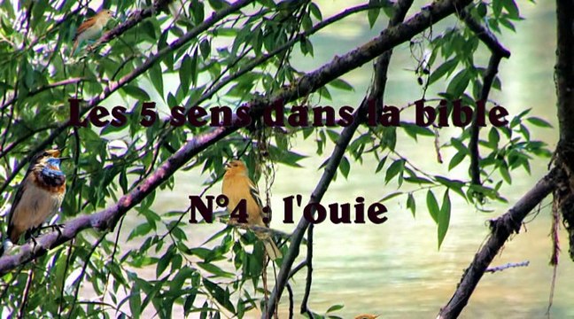 Centre aéré chrétien 2016-07