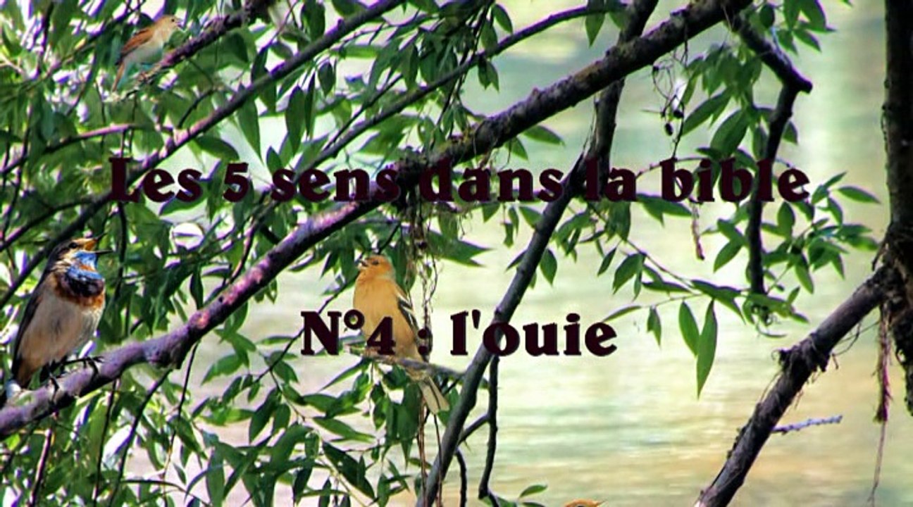 Centre aéré chrétien 2016-07