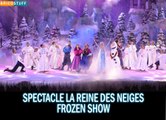 Spectacle La Reine Des Neiges Disneyland Paris - Frozen Show