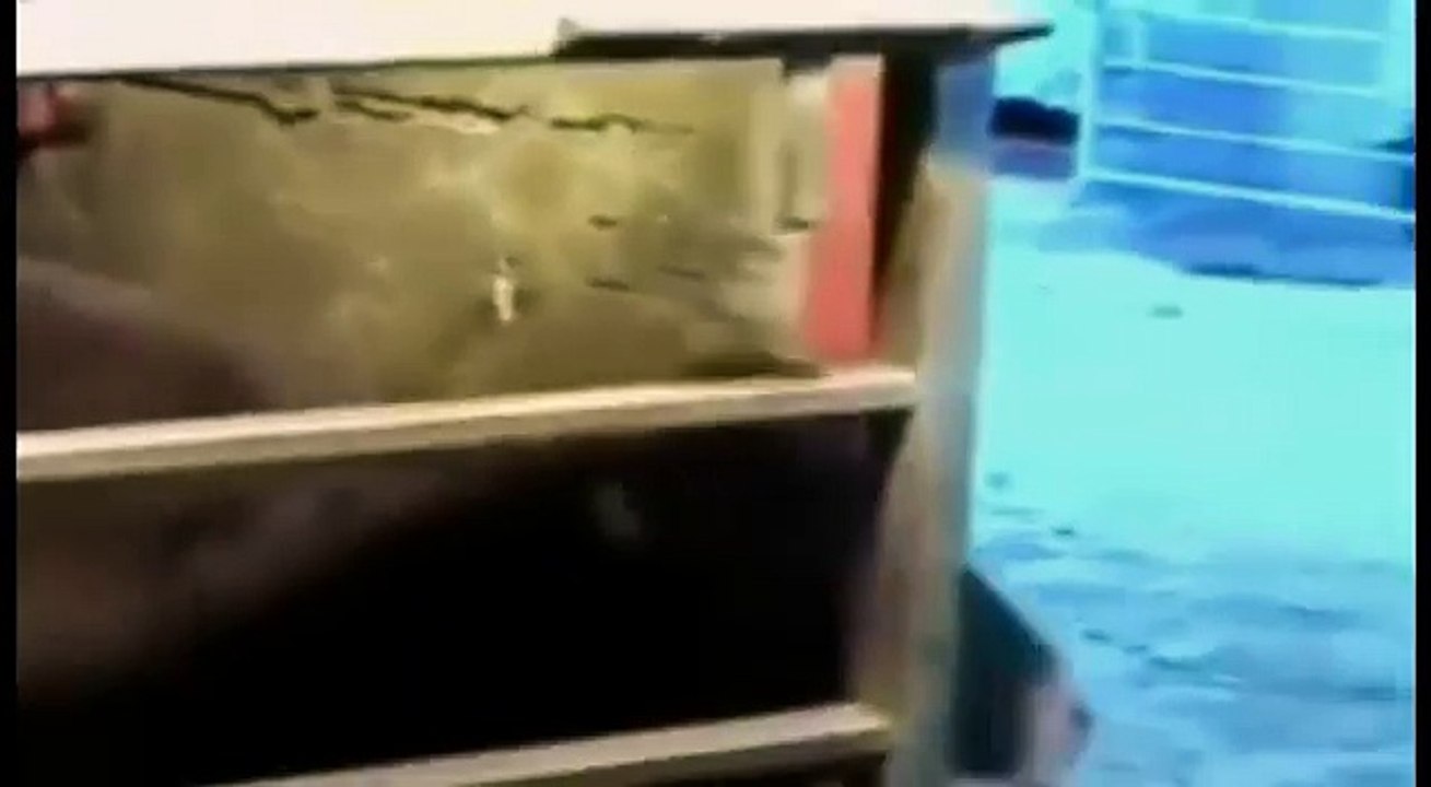Imagens inacreditáveis
