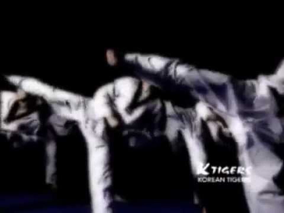 k-tigers taekwondo team promotion movie