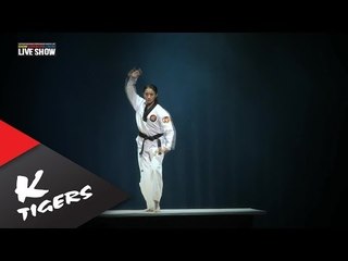 K-Tigers Live show 2013 in Sejong Highlight