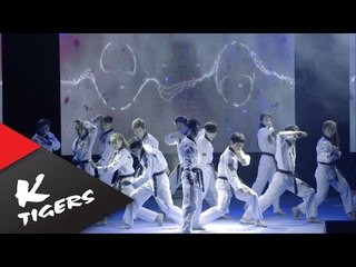K-Tigers Live Show 2016 - in Busan