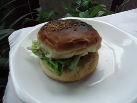 Hamburger Japanese food ハンバーガー