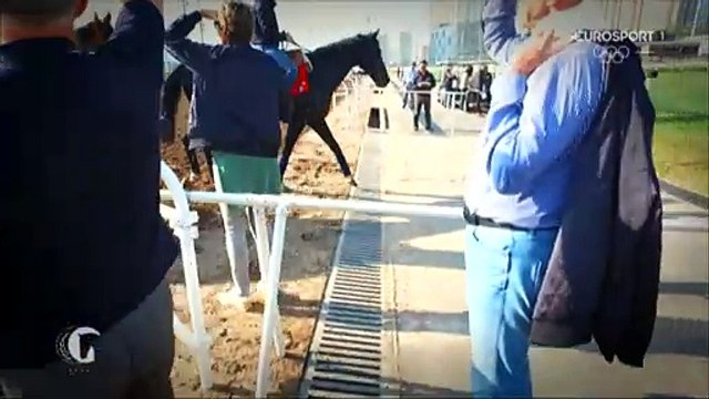 Horse Excellence: Flying Horses (Horse Racing)