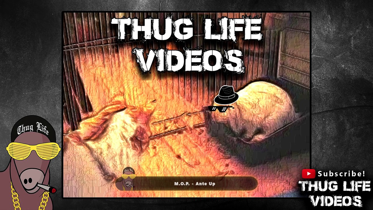 Najlepsza kompilacja Thug Life 2016 część 77