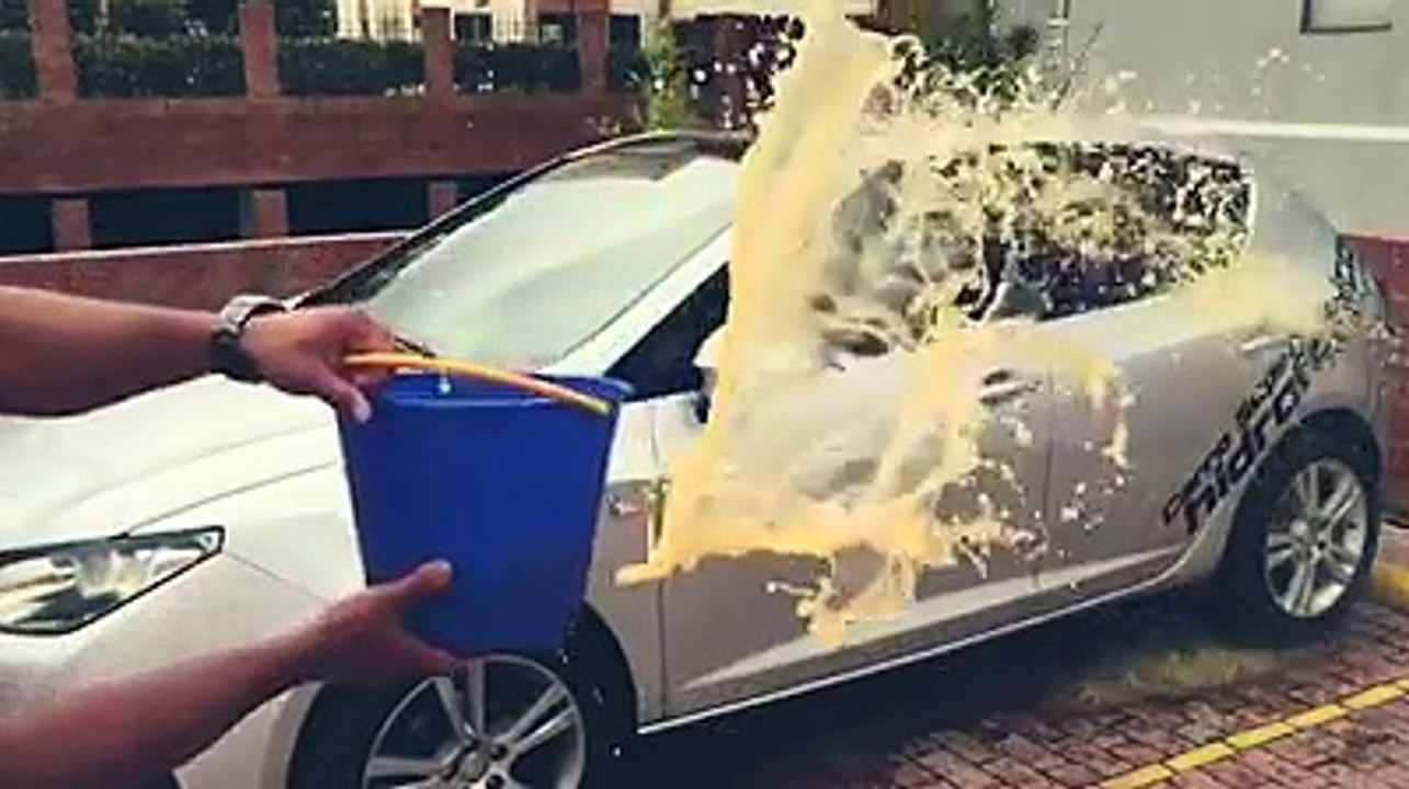 The pearl nano experience with Diego A. Ortiz Vargas