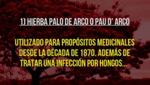 Conoce la Mejor PASTILLA Antimicótica Para La INFECCION Por Hongos   4 HIERBAS Naturales