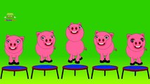 Pig Cartoons Animation Singing Finger Family Nursery Rhymes for Preschool Childrens Song