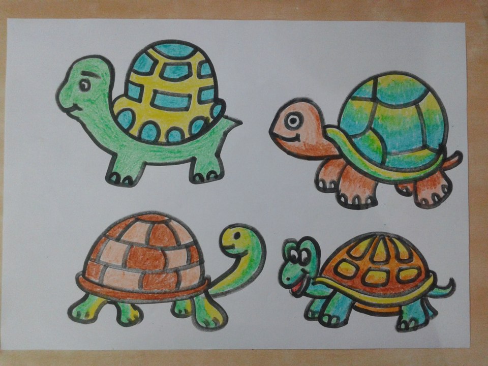 How to draw Tortoise For Kids Step By Step
