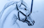 How to draw a Horse تعلم رسم حصان بقلم الرصاص