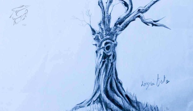 How to draw Dead tree رسم شجرة ميتة بقلم الرصاص