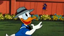 Disney Classic Cartoons Donald Duck Chip and Dale and Donald Duck Episodes Pluto 2