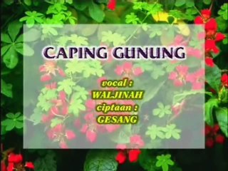 Campursari Waljinah - Caping Gunung