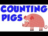 Counting Pigs| Learn to count numbers from 1 to 4
