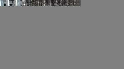 Internacional | Donald Trump gana formalmente la presidencia de EU