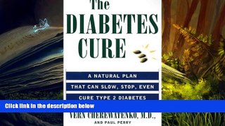 Read Online The Diabetes Cure: A Natural Plan That Can Slow, Stop, Even Cure Type 2 Diabetes For