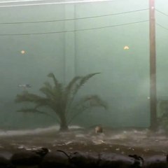 Category 5 Movie - BTS