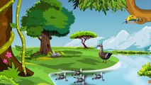 Five Little ducks 3d animated nursery kids educational rhyme | Five little ducks with lyrics