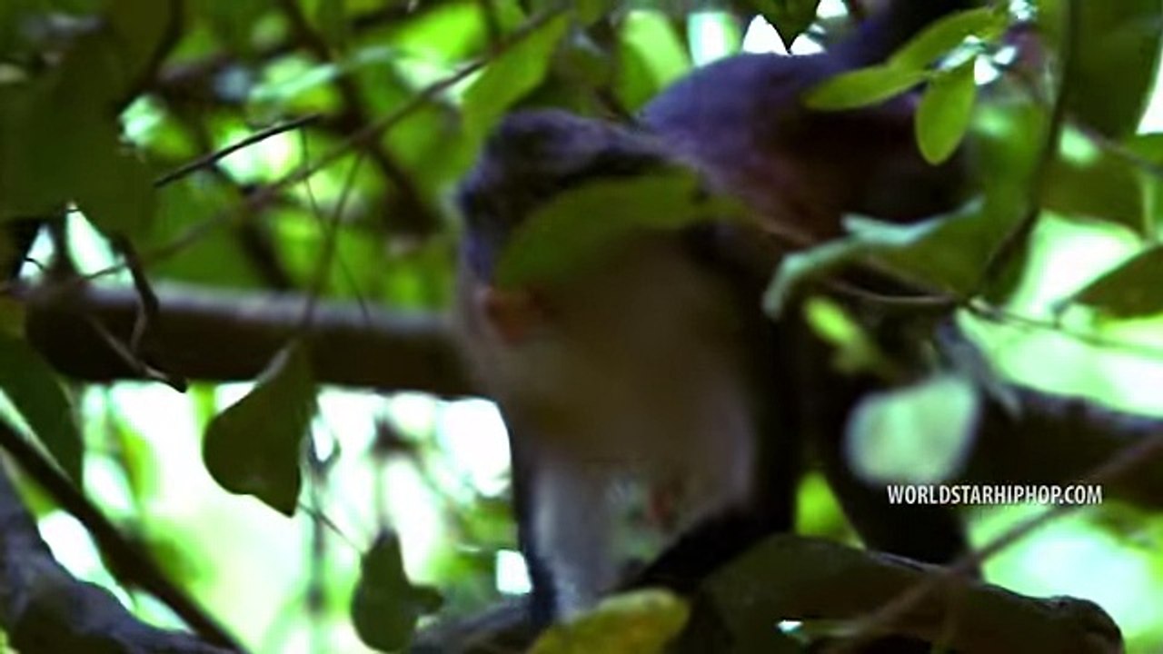 Migos -Call Casting- (Official Music Video)