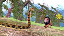 Lion Vs Python Amazing Fighting For Children | Animals Death Battles