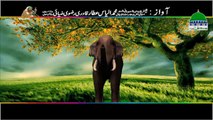 Kal kay liye Bacha kay Rakhna - Madani Channel
