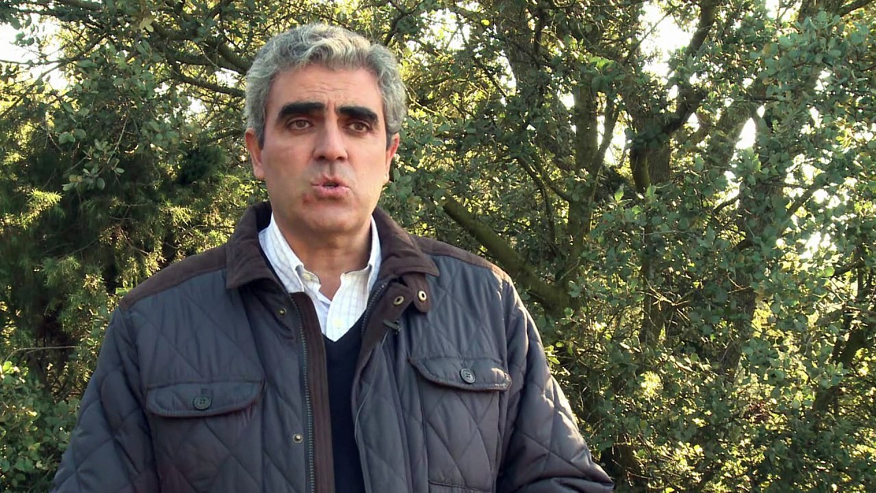 Arqueros en Madrid ahuyentan a jabalíes de las zonas urbanas