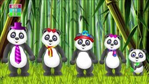 Panda Finger Family | Animal Finger Family Songs & Nursery Rhymes For Children