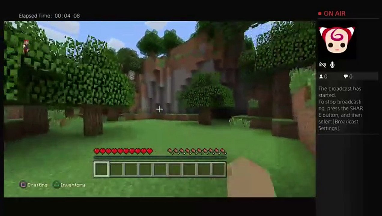 Minecraft (24)