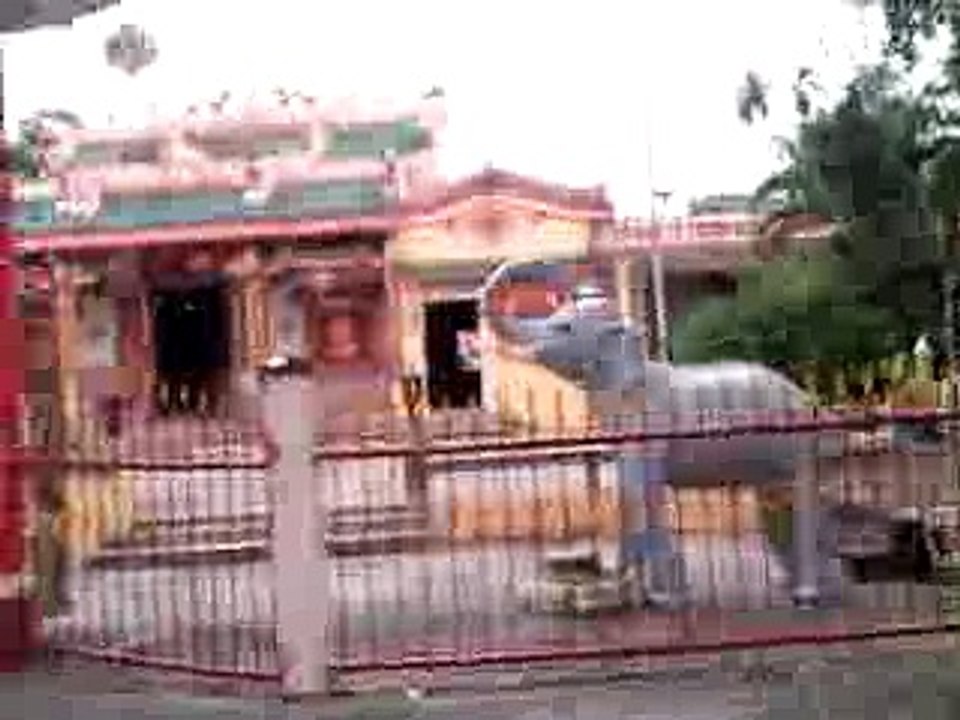 Vi  Thanhの街かど　裏道散歩　150102