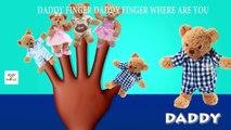 Teddy Bear Finger Family | Teddy Bear Cartoon Finger Family Nursery Rhymes and Songs for Children