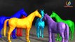 Horse Colors Rhymes in 3d Animation Movie | Nursery Children Rhymes For Toddlers