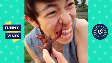 Funniest Viral Fail Videos Weekly Compilation