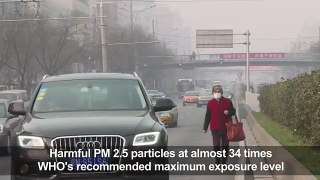 China chokes under heavy smog[1]