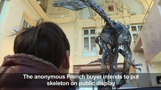 Million dollar dino sells at auction in France