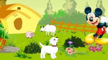 BINGO | Dog Song | Nursery Rhyme with Lyrics | Cartoon Animation for Children