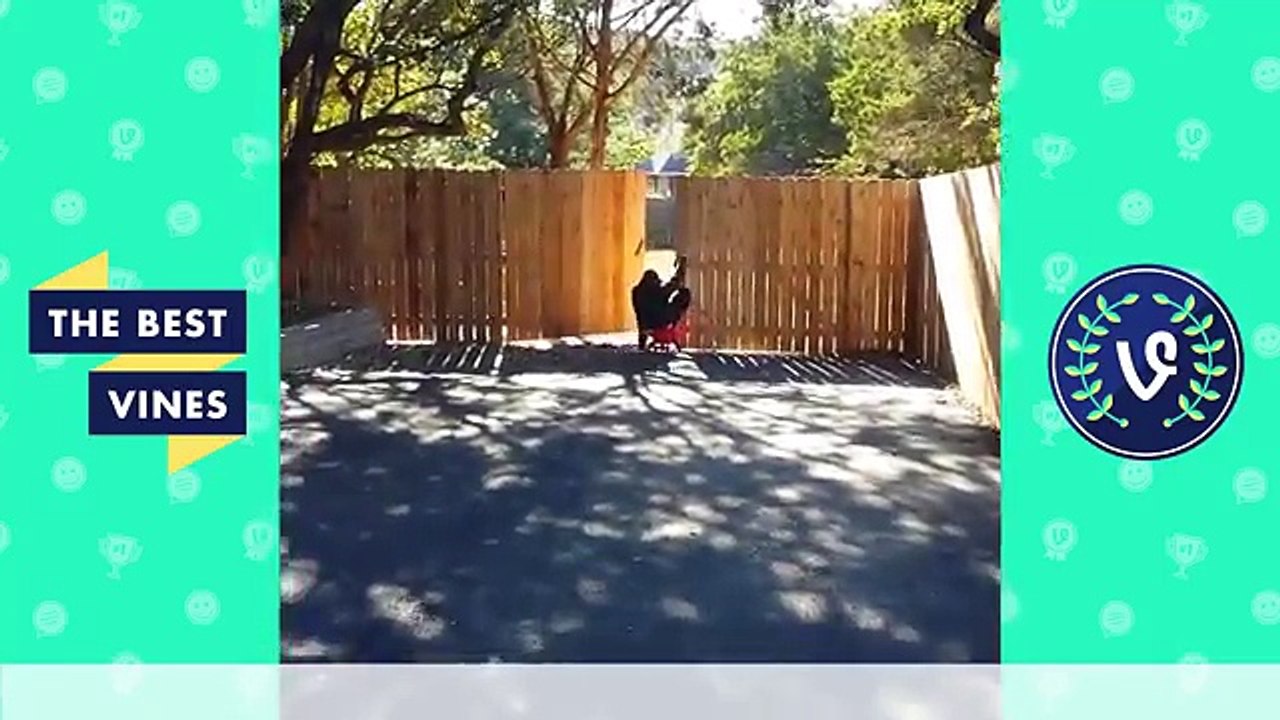 Best Fails Vines Compilation | Top Fail Vines July 2016
