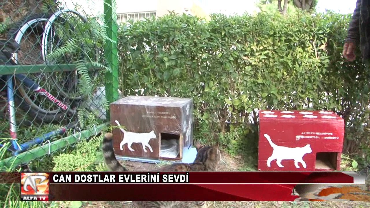 Can Dostlar Evlerini Sevdi