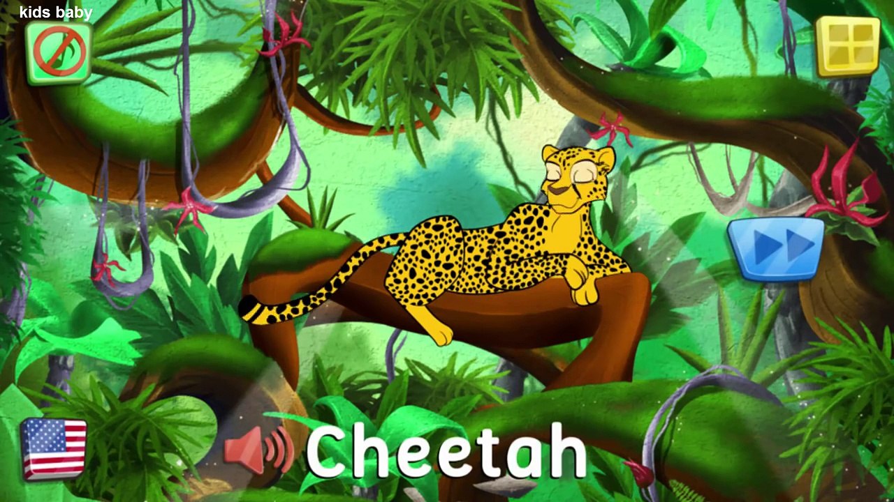 Kids Learn Animals Sea,Wild And Farm   Animals Puzzle for Kids