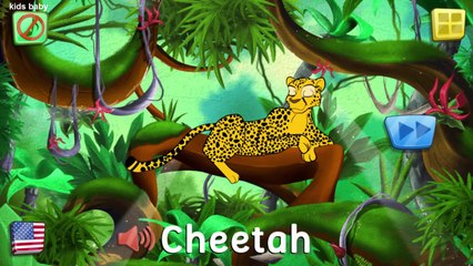 Kids Learn Animals Sea,Wild And Farm   Animals Puzzle for Kids