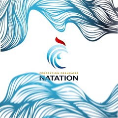 La FFN vous souhaite ses meilleurs vœux pour 2017