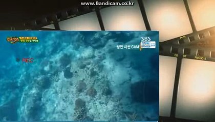 토토사이트제작해 드립니다.【카톡haricuty 스카이프cuty hary】