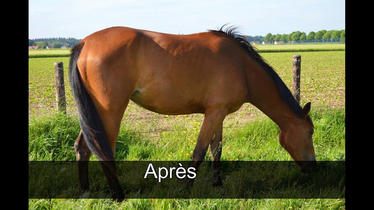 Elsa et nos 8 mois ensemble