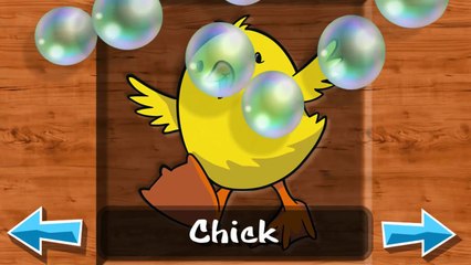 Baby Animals Learn Puzzle   Animal Learning Puzzle Kids games by Winterworks gmbh