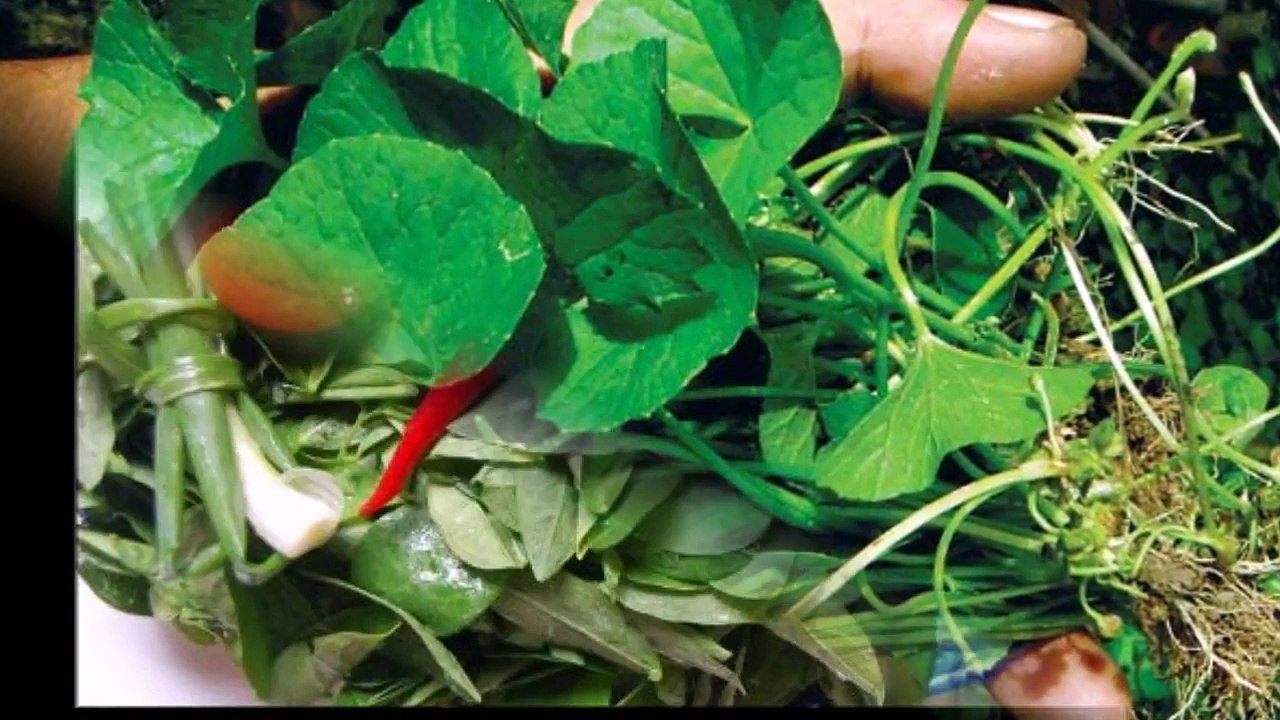 Tác Dụng Phụ Nguy Hiểm Của Rau Má - Rau Ngót