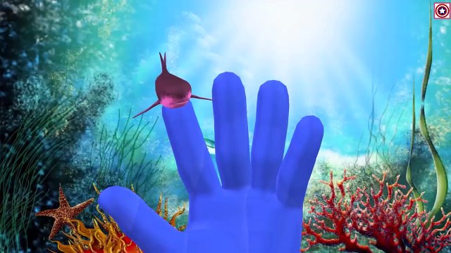 Shark Vs Piranha (Fish) Finger Family Rhymes | Sea Animals Names | Shark Compilation Songs