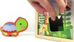 Fisher-Price_ Sorter Toy to LEARN SHAPES with BABY TURTLE Demo! (Hide & Seek Game!)