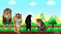 3D Wild Animals Finger Family | Daddy Finger 3D Nursery Rhyme | Animal Cartoon Song For Children