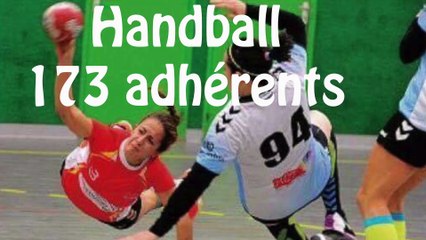 Assemblée Générale ASPTT Omnisports Rapport Activité 2015-2016